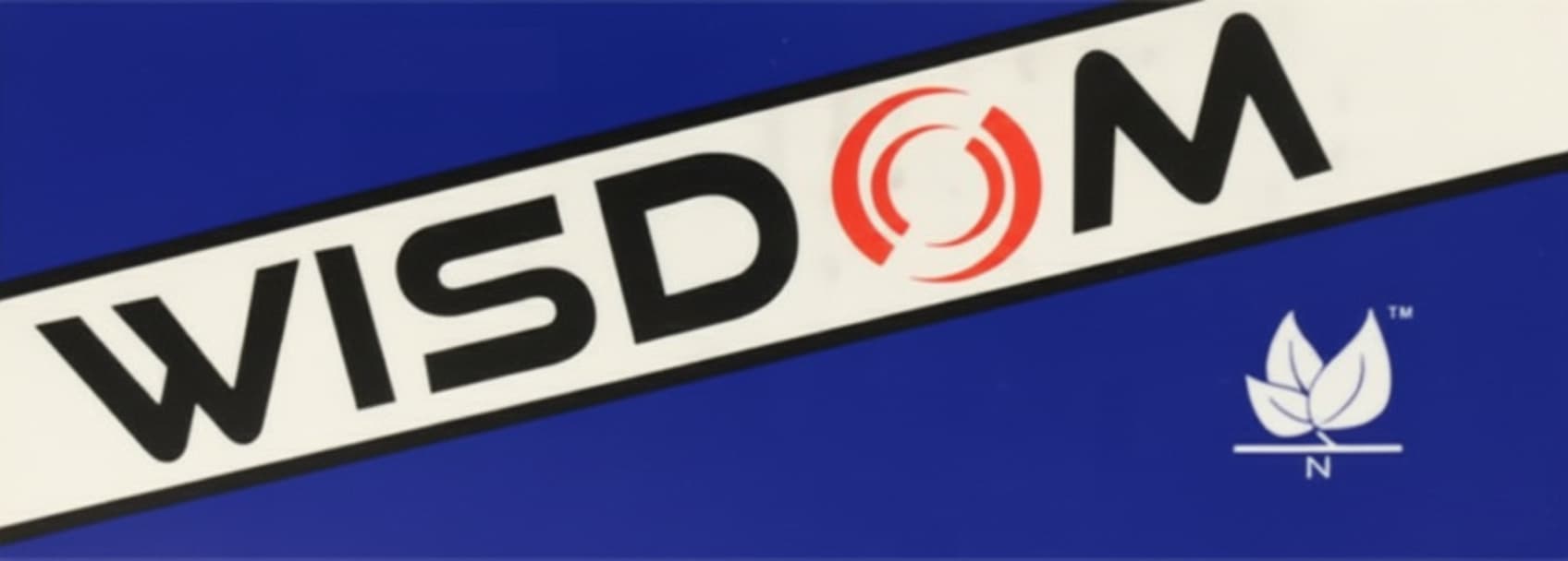 WISDOM logo