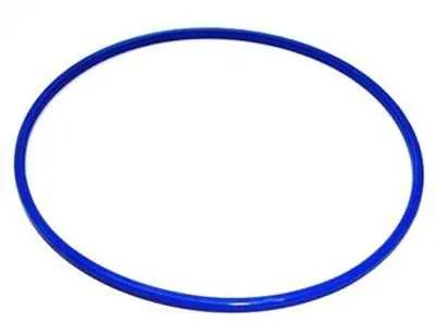 Sealing Ring Blue Big